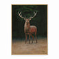 Wellington Stag Velvet Canvas