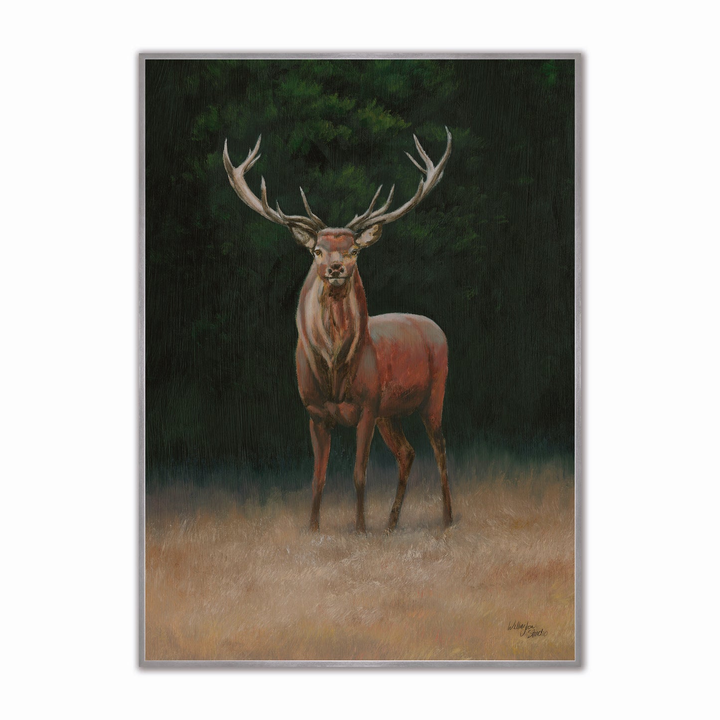 Wellington Stag Velvet Canvas